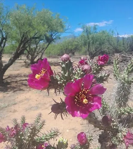La Donna Lane Ranch Bed & Breakfast Sierra Vista